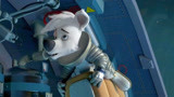 太空狗：小狗的胆子真大，乘火箭到月球，还敢自己乱跑