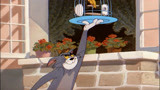 猫和老鼠：汤姆不捉老鼠改捉鼠，这下金丝雀遭殃了！