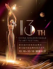第13届中国金鹰电视艺术节