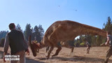 侏罗纪公园2：人类捕捉恐龙，只敢对食草恐龙下手，肉食的不敢惹