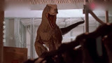侏罗纪公园：迅猛龙围剿人类，紧要关头霸王龙出现，将它们咬死！