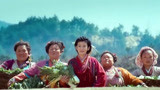 神奇侠侣：在众人没饭吃的时候，吴君如带人妇人来做饭了