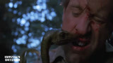 侏罗纪公园2：猎人掉进沟里，被一群迷你肉食恐龙袭击，太吓人了