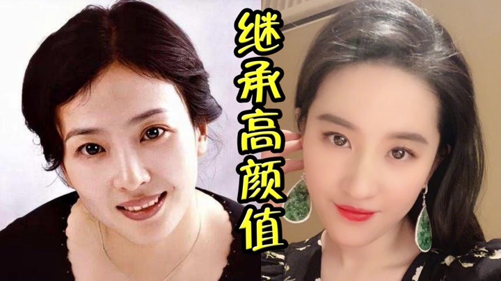 继承高颜值的明星母女,邱淑贞沈月如出一辙,刘亦菲母女更像姐妹