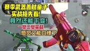 下个赛季武器善财童子实战抢先看，没想到还能千变!