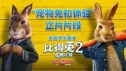 《比得兔2:逃跑计划》爱奇艺全网独家正片片段片花完整版视频在线观看爱奇艺