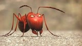 昆虫总动员：一颗方糖引发了蚂蚁世界战争，最后靠一只瓢虫救场