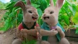 比得兔：小兔子进了菜园子，瞬间暴露吃货本性，全在疯狂啃萝卜！