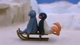 企鹅家族：小企鹅和他的朋友海豹一起玩耍，滑冰真的太开心了