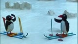 企鹅家族：小企鹅太性急，滑雪不顾路上行人，结果出了事故