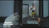 驱魔警察：日本魔道，一朵菊花一只猫，杀人无形！