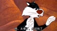 抓鸟的猫咪