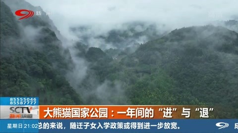 四川 现在就看 大熊猫国家公园:一年间的"进"与"退"