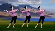64步古典形体舞《杏花落》广场舞，糖豆名师团教你跳