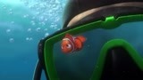 《海底总动员》小丑鱼尼莫被潜水员抓走 玛林爸爸千里寻子！