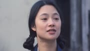 桃花灿烂