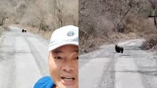 四川绵阳工作人员巡山偶遇野生大熊猫 举手机近距离自拍“合影”