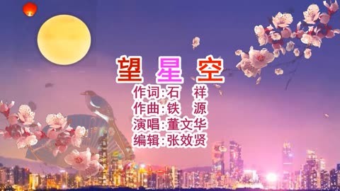 董文华演唱的《望星空》经典回顾，深情好听