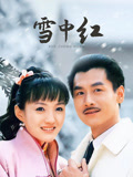 雪中红