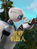 荒野机器人