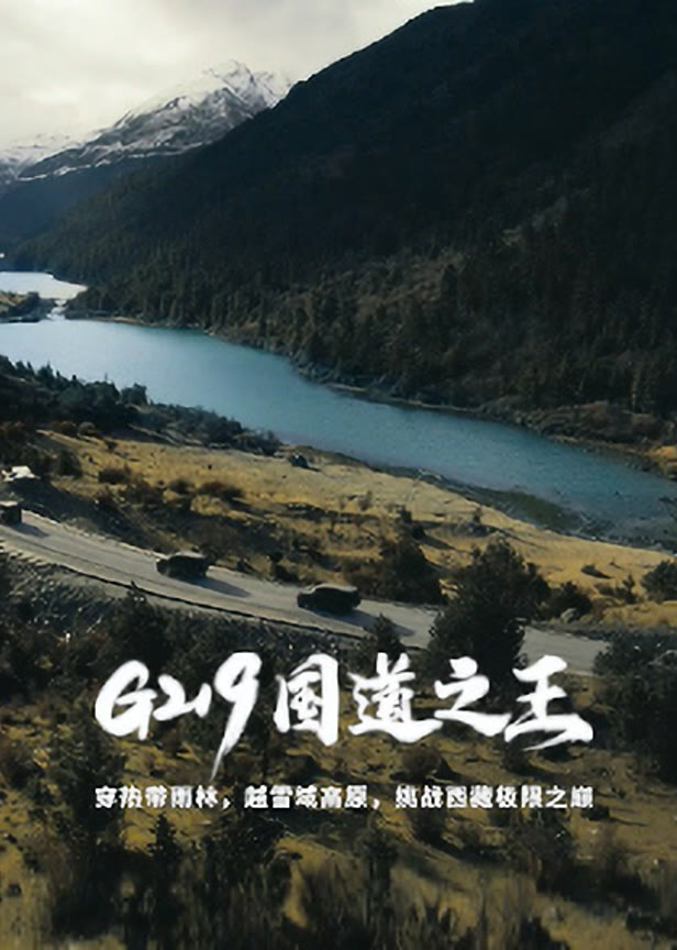 g219国道之王