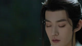 仙台有树解答了我多年的疑惑