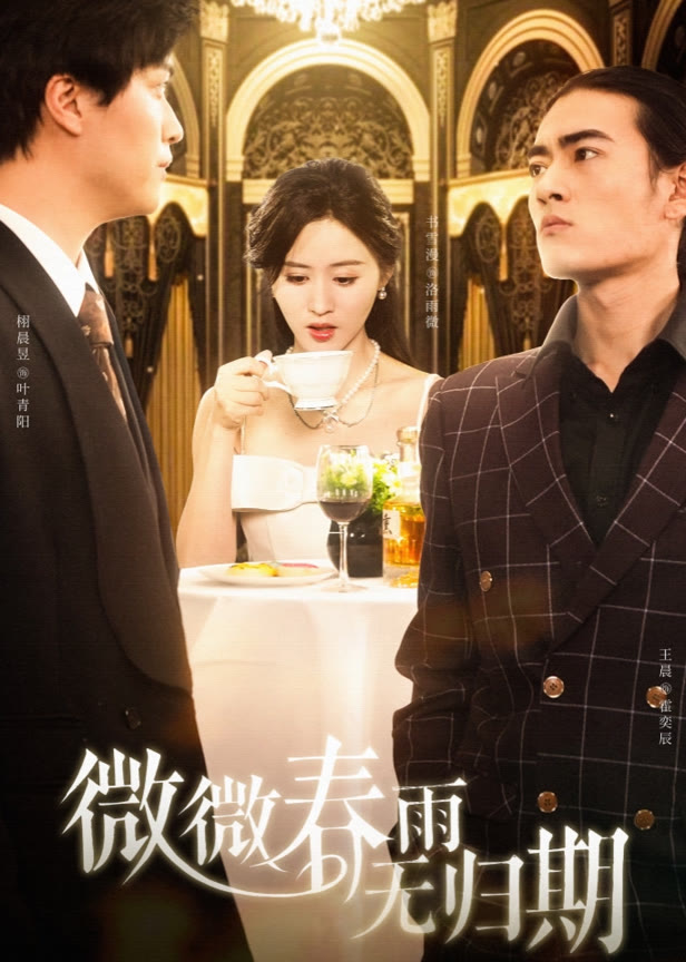 微微春雨无归期