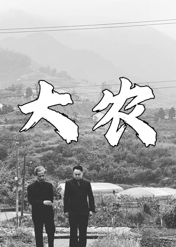 大农