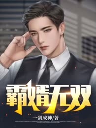 霸婿无双