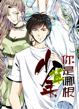 少年，你是哪根草动态漫画