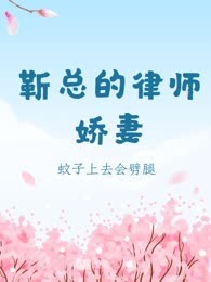 靳总的律师娇妻