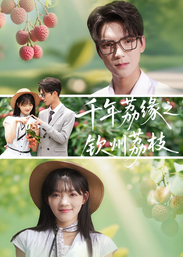 千年荔缘之钦州荔枝