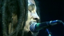 Bob Marley - The Heathen