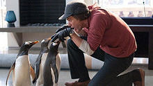 线上看 《波普先生的企鹅》最新预告片 (2011) 带字幕 中文配音