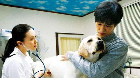 《向日葵与幼犬的7天》 预告片