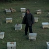 养蜂人（1987）