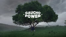 El Cuarteto de Nos - Gaucho Power