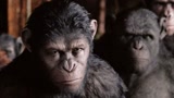 猩球崛起2（片段）猩猩大军进攻人类领地