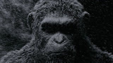 《猩球崛起3：终极之战》全新先导预告片