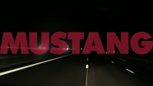 Mustang - Ecran total (Official Music Video)