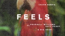 Katy Perry & Pharrell Williams & Calvin Harris & Big Sean - Feels