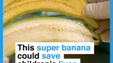 super banana could save children's lives