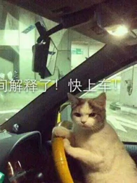 爆笑游戏实况猫神搞笑游戏解说 游戏 高清正版视频在线观看 爱奇艺