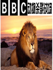 BBC：动物杀戮战场