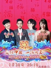 2017全球华侨华人春节大联欢