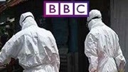 BBC：埃博拉·寻找治疗方法
