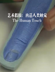 艺术假肢：再造人类触觉