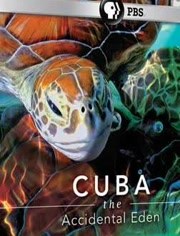 古巴:意外的伊甸园