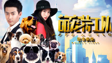 Tonton online Anjing Lucu: Virus mematikan (2017) Sub Indo Dubbing Mandarin