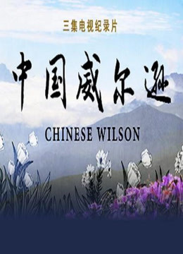 中国威尔逊